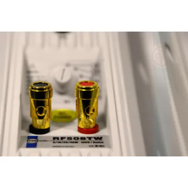 Настенная акустика CVGAUDIO RF516TW